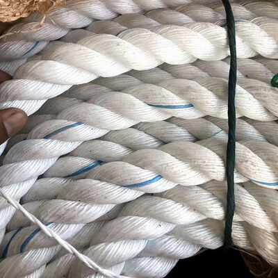 حبل بلاستيكي مرن خفيف الوزن قدرة تحمل عالية فئة معدات خارجية